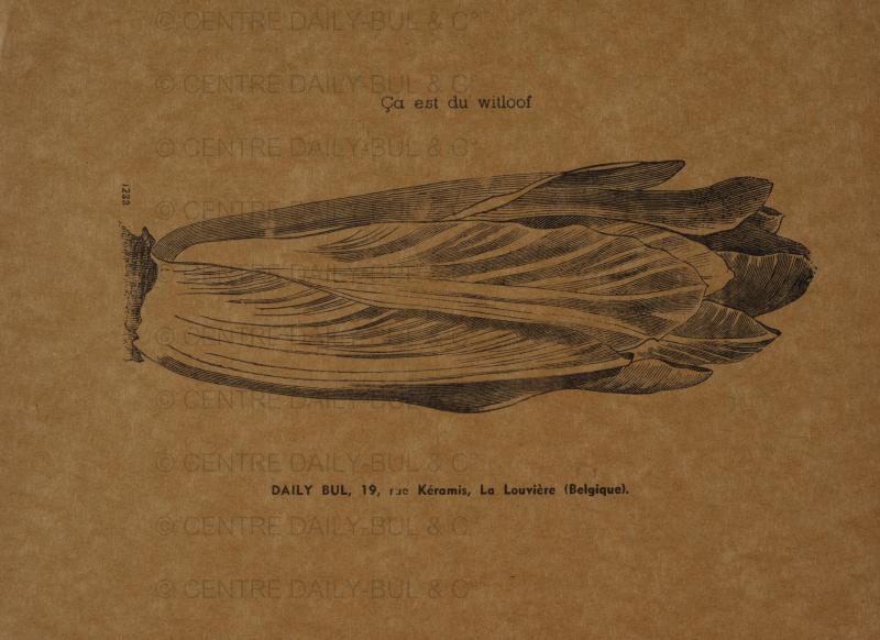 ARC-DABU-BDB-T00205.jpg
