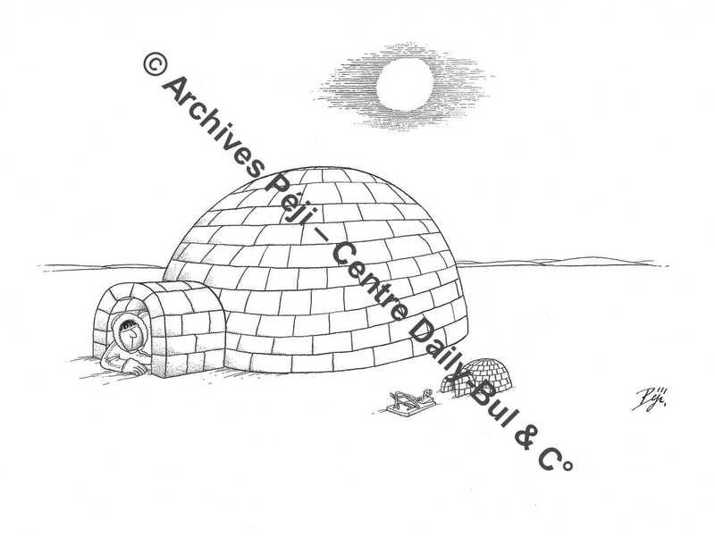 FJPA_331_BD.jpg