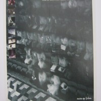 Affiche pour Fernand Crommelynck : Le cocu magnifique au Théâtre National du 28 septembre au 14 octobre 1995
