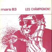 Aménophis n° 24 : Les champignons