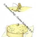 Un esquimau pêche dans un trou... de meule de fromage suisse. 