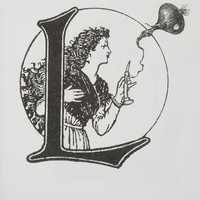L'oignon bilboquet, dessin publié dans Linnéaments de André Balthazar et Roland Breucker paru aux Editions Le Daily-Bul en 1997
