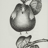 L'oiseau poire, dessin original publié dans La Poire de André Balthazar et Roland Breucker