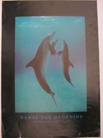 Affiche Danse des Dauphins