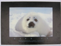 Affiche pour SAVE US