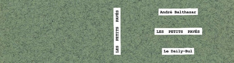 petits-paves-couv-page1.jpg