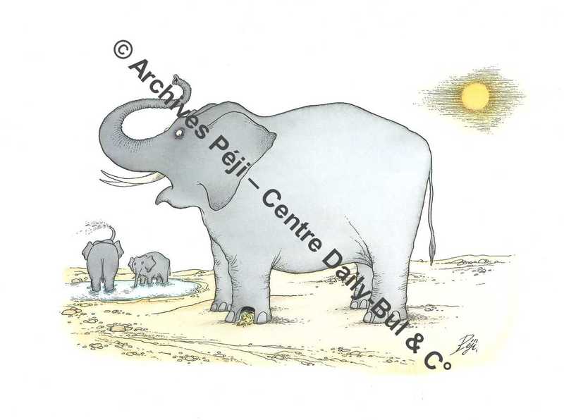 FJPA_325_BD.jpg