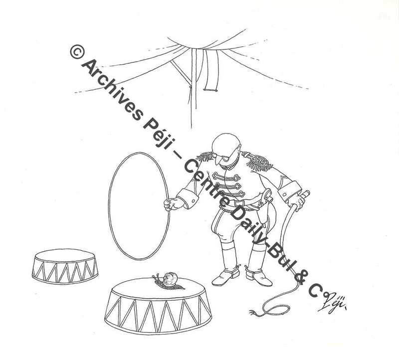 FJPA_372_BD.jpg