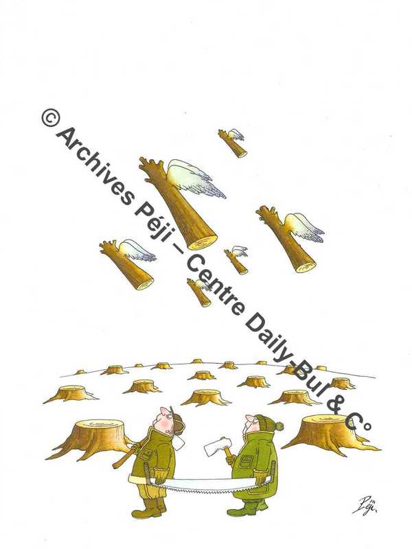FJPA_207_BD.jpg