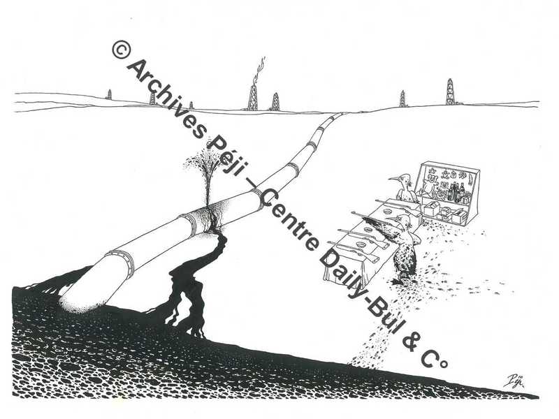 FJPA_311_BD.jpg