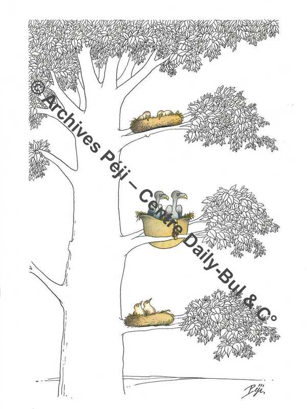 FJPA_017_BD.jpg