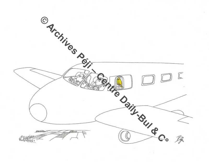 FJPA_327_BD.jpg