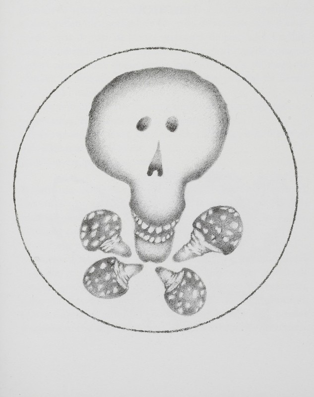 Le champignon - tête de mort.jpg