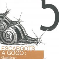 Escargots à gogo