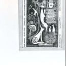 Le déraciné - 32 - Septembre 2004_compressed.pdf